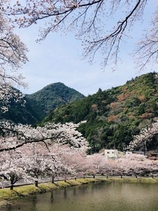 下北山スポーツ公園