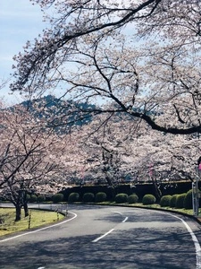 下北山スポーツ公園