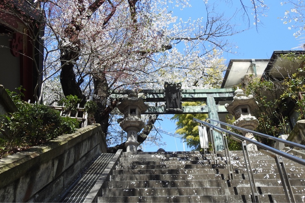 junkunさんが投稿した市谷亀岡八幡宮に関する口コミの画像