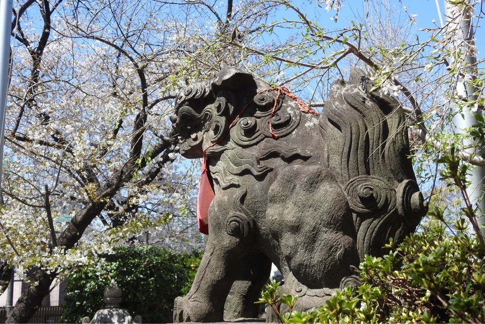 junkunさんが投稿した市谷亀岡八幡宮に関する口コミの画像