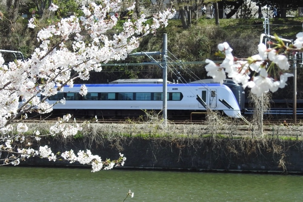 junkunさんが投稿した外濠公園に関する口コミの画像