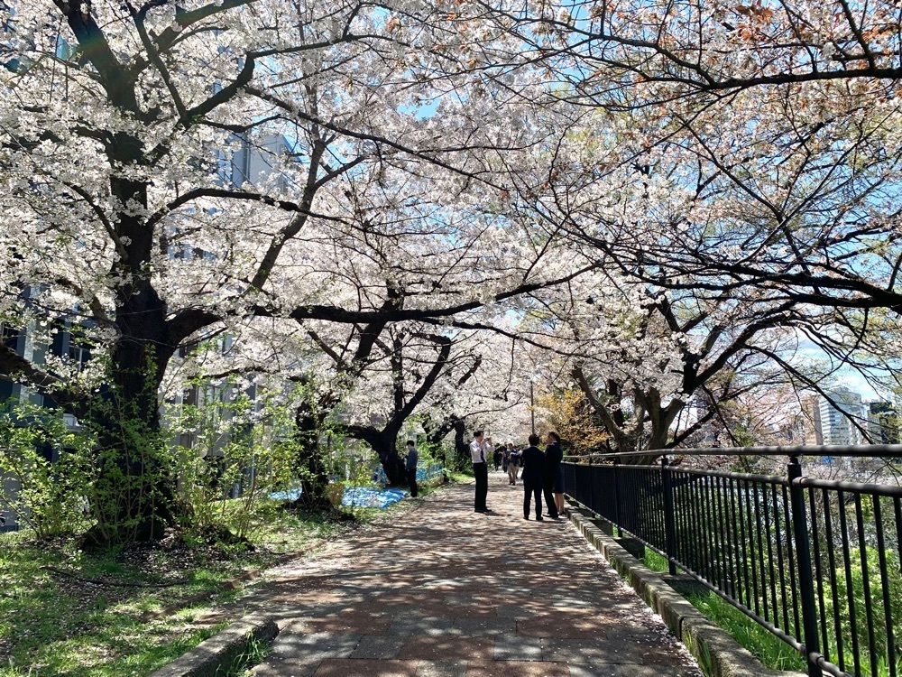 junkunさんが投稿した外濠公園に関する口コミの画像