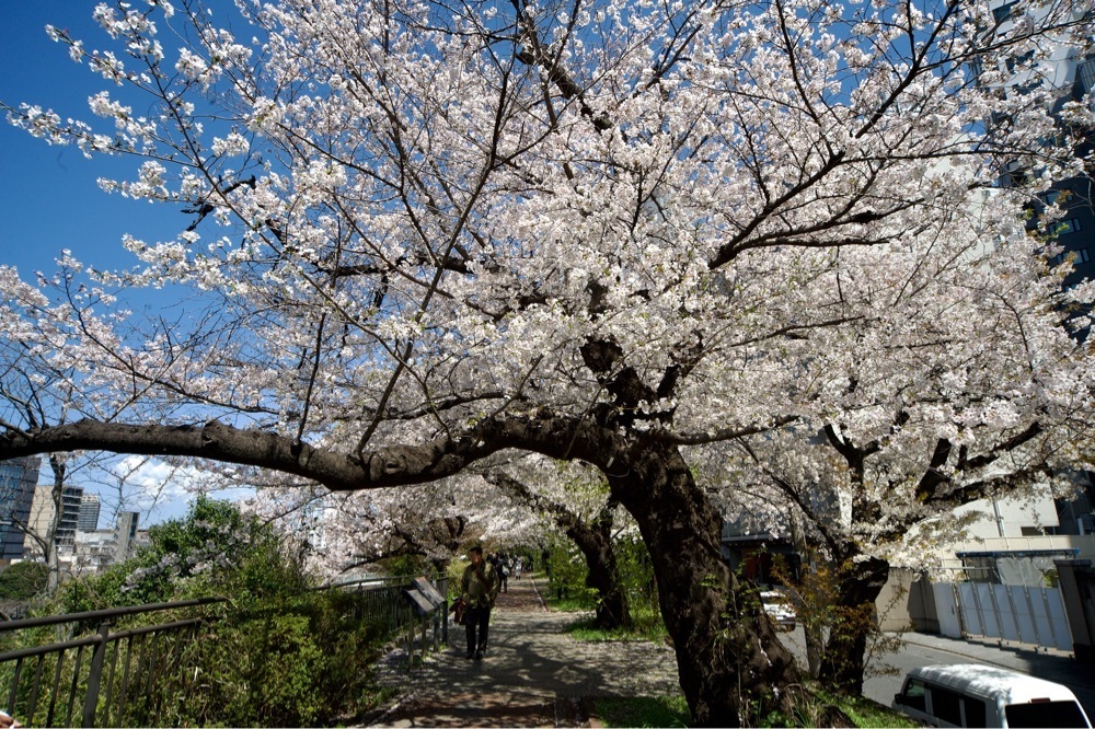junkunさんが投稿した外濠公園に関する口コミの画像