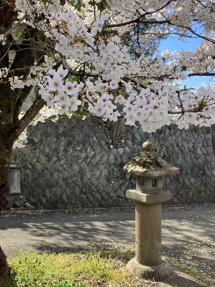 Nさんが投稿した大福寺（山梨県中央市）に関する口コミの画像