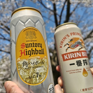 膳所城跡公園