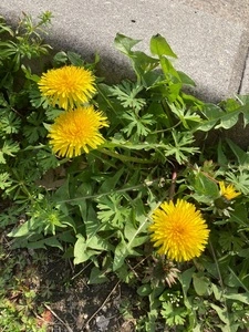 なか卯 北野白梅町店