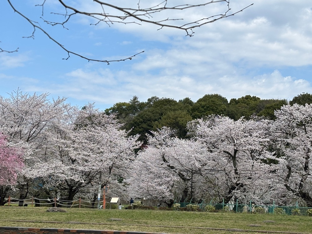 それなはとけさんが投稿した武蔵国分寺跡に関する口コミの画像