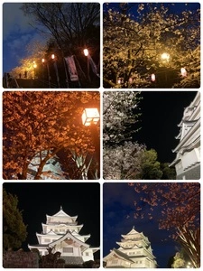 千葉城跡