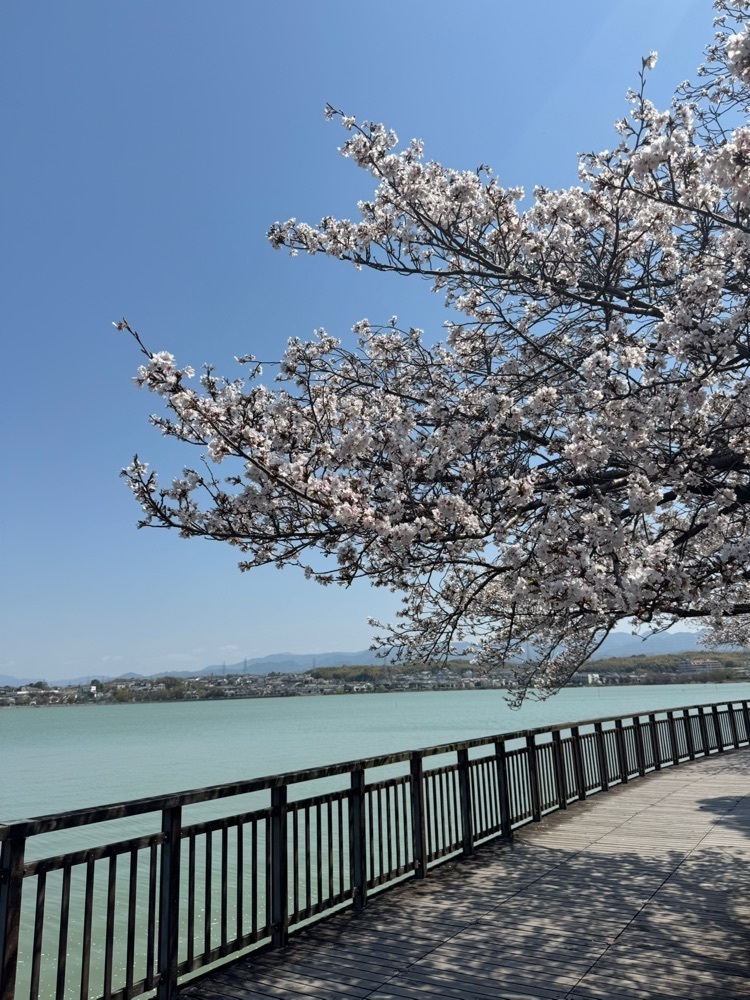 miku_ru 210さんが投稿した久米田池に関する口コミの画像