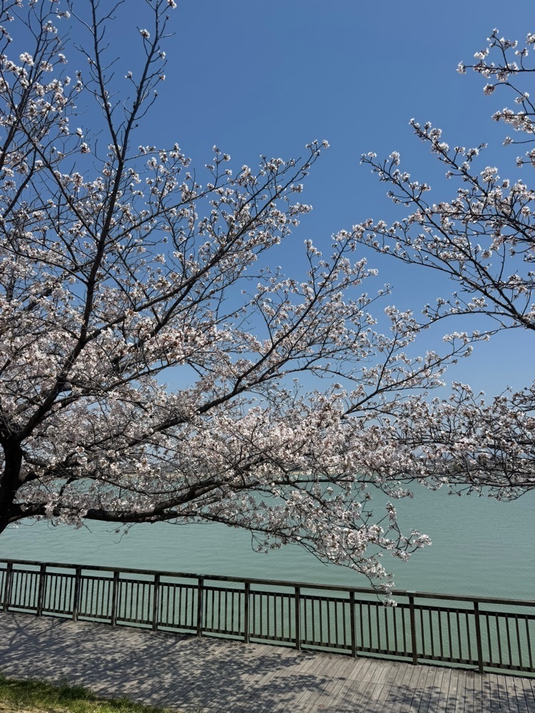 miku_ru 210さんが投稿した久米田池に関する口コミの画像
