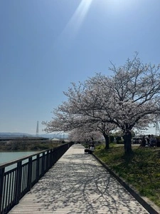 久米田池 2枚目