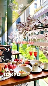 ハイアットセントリック 銀座 東京（HYATT CENTRIC GINZA TOKYO）