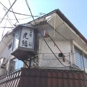 光鮨