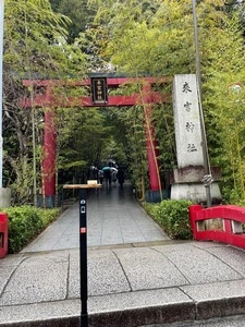 来宮神社の大楠
