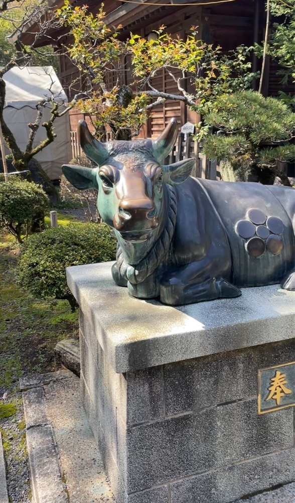 hirokororinさんが投稿した大井神社（静岡県島田市）に関する口コミの画像