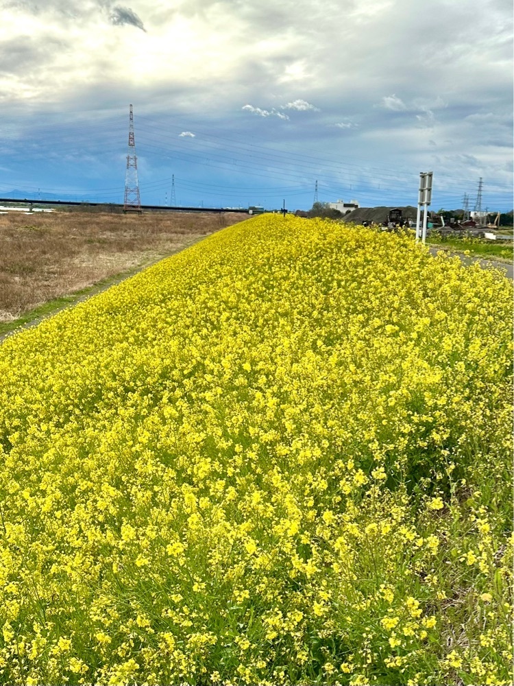 からっ風②さんが投稿した上武ゴルフ場に関する口コミの画像