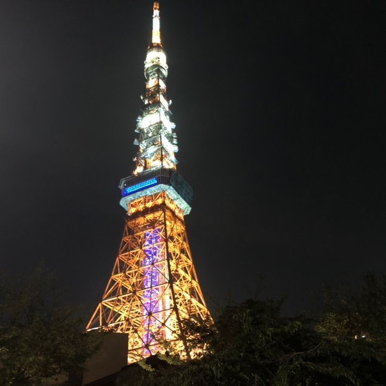 きむきむさんが投稿した焼鳥 佐田十郎 麻布十番に関する口コミの画像