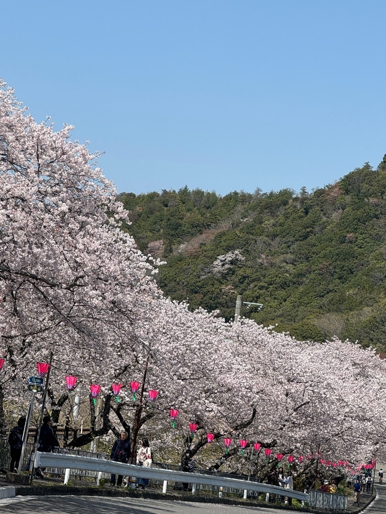 familiar_tourism_c992イーコさんが投稿した山中渓駅に関する口コミの画像