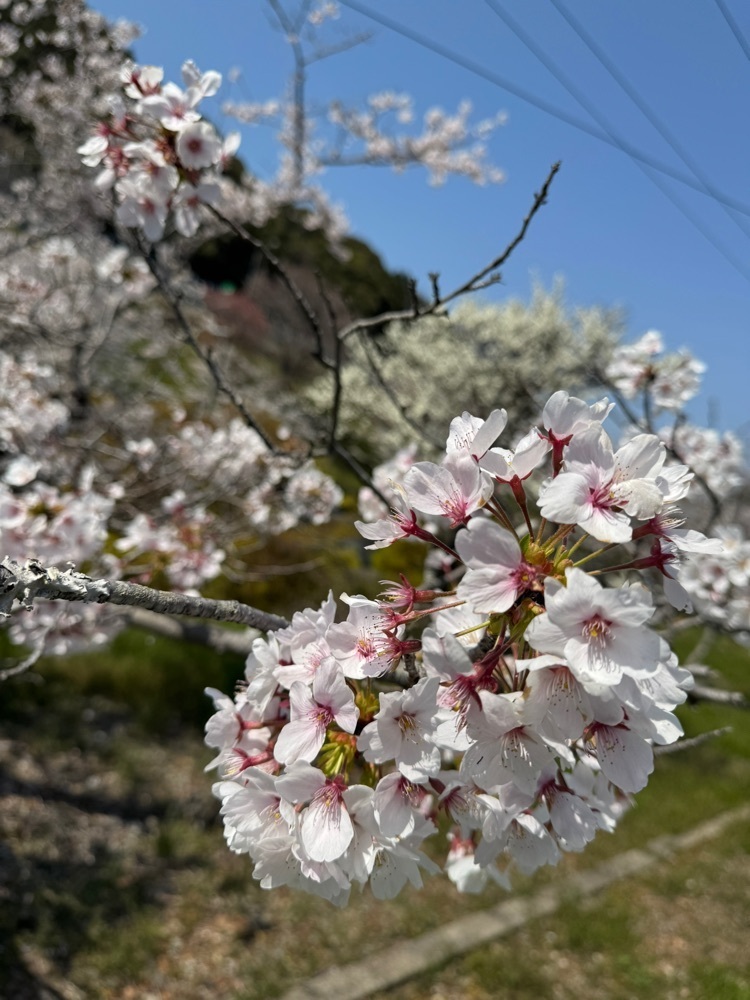familiar_tourism_c992イーコさんが投稿した山中渓駅に関する口コミの画像