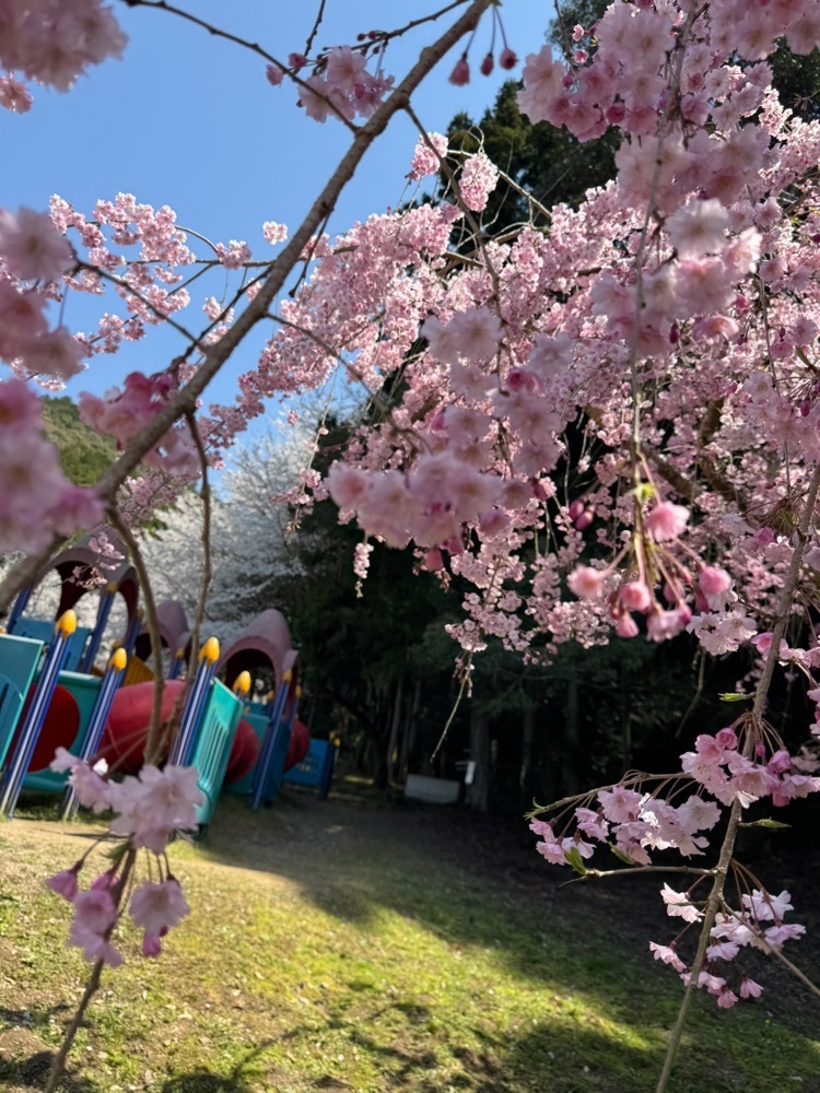 familiar_tourism_c992イーコさんが投稿した山中渓駅に関する口コミの画像