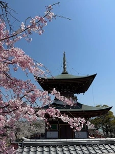 久米田寺