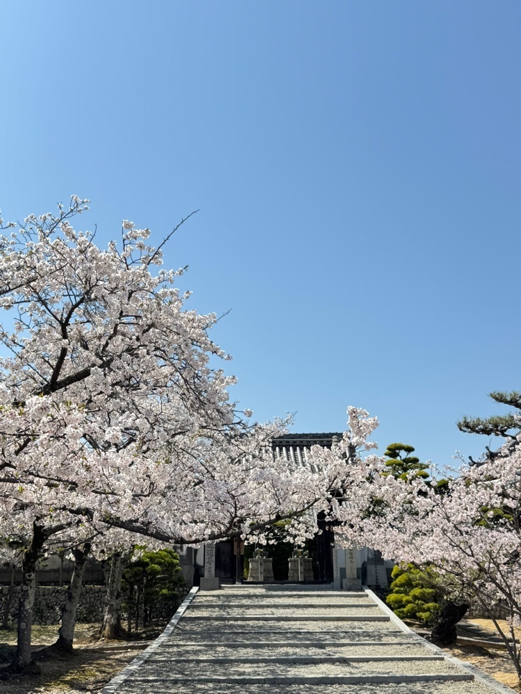 miku_ru 210さんが投稿した久米田寺に関する口コミの画像