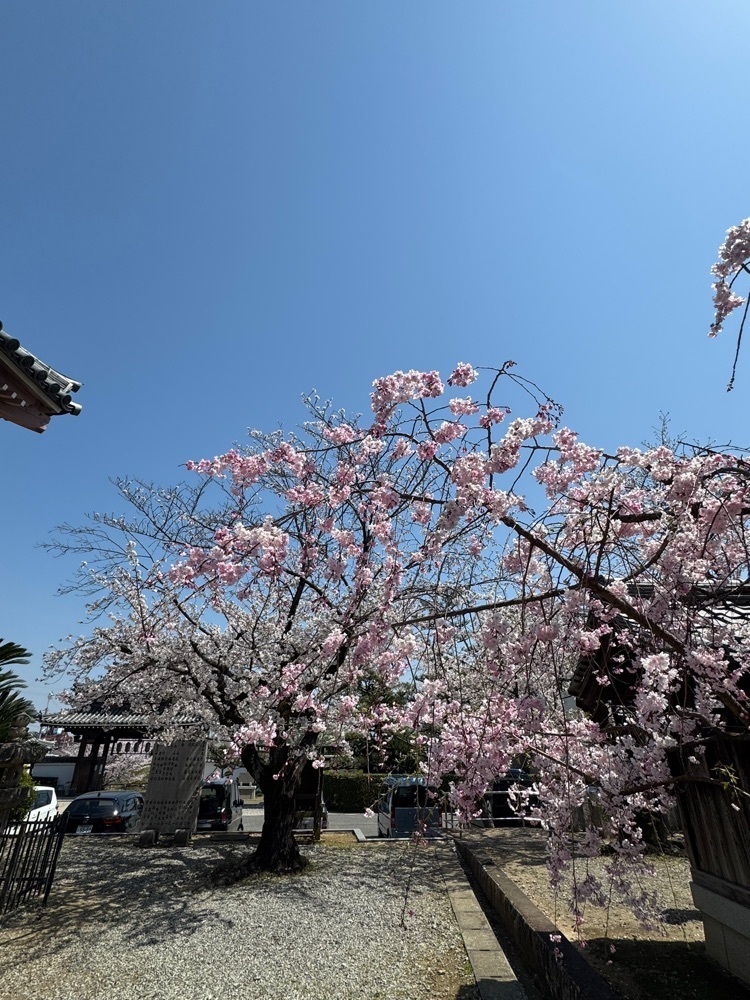 miku_ru 210さんが投稿した久米田寺に関する口コミの画像