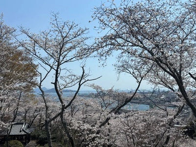 亀居公園