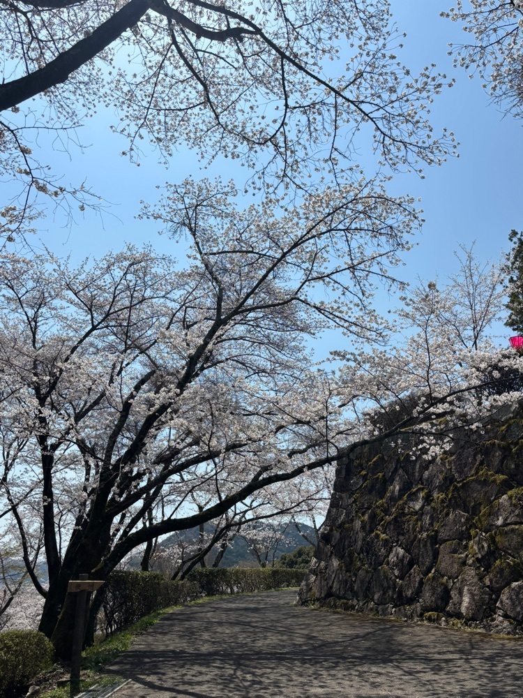 みーなさんが投稿した亀居公園に関する口コミの画像