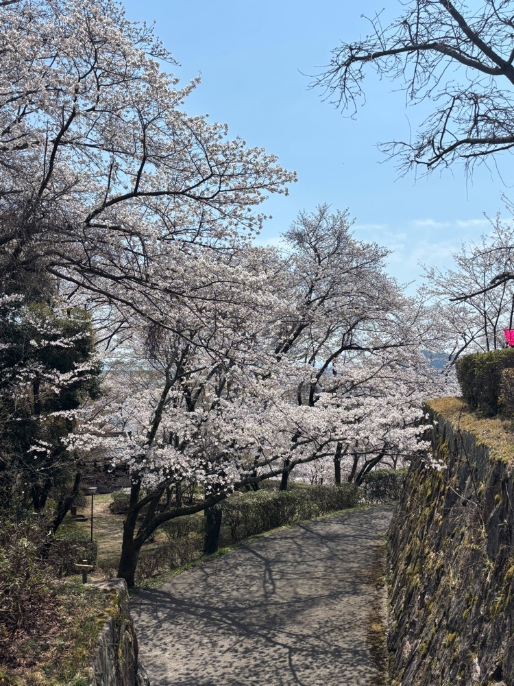 みーなさんが投稿した亀居公園に関する口コミの画像