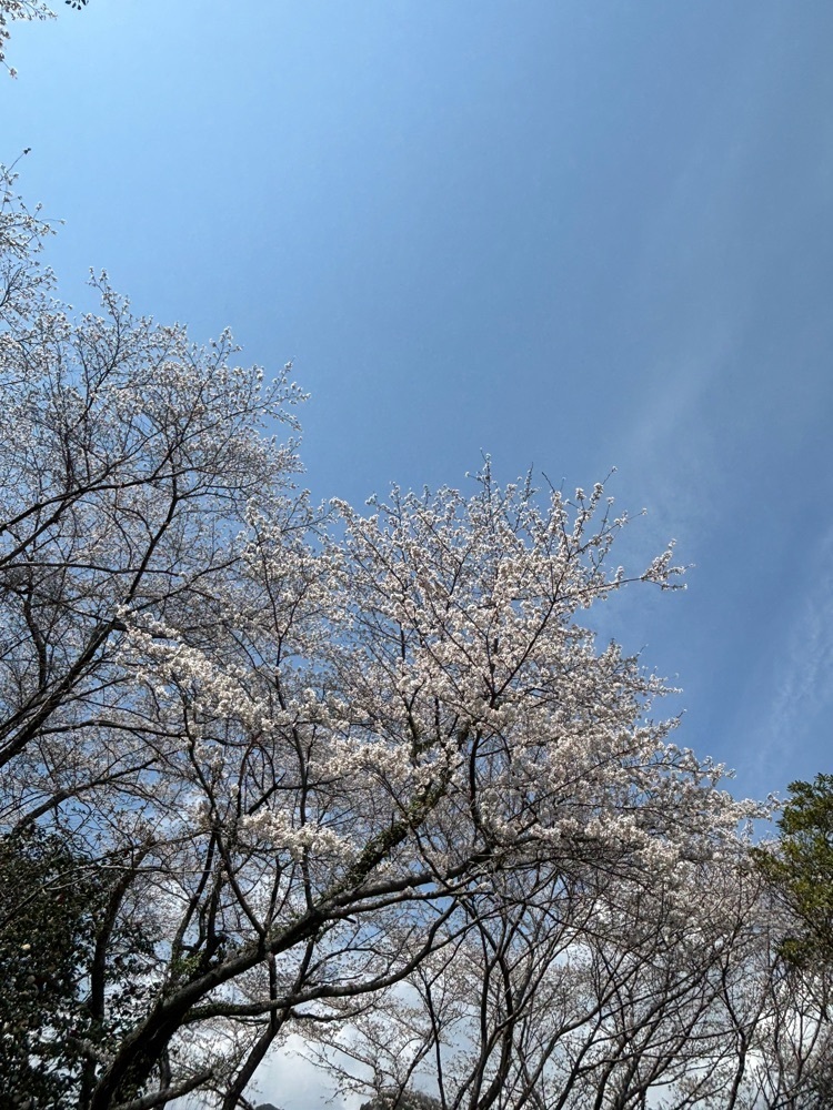みーなさんが投稿した亀居公園に関する口コミの画像