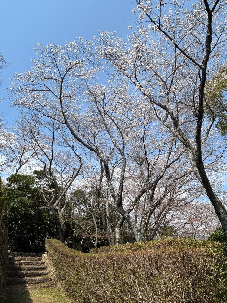みーなさんが投稿した亀居公園に関する口コミの画像
