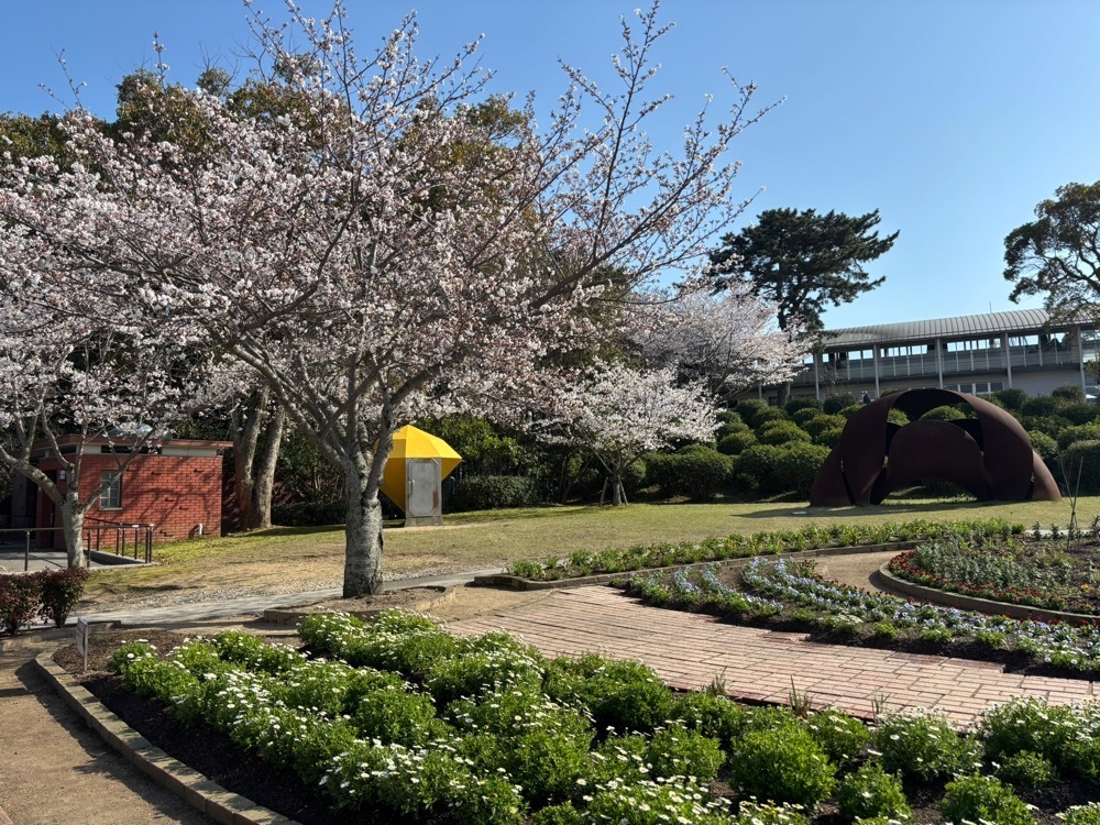 みーなさんが投稿したときわ公園／サクラに関する口コミの画像