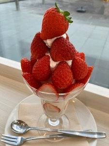 Museum cafe Sweets lab 葡萄屋 kofu