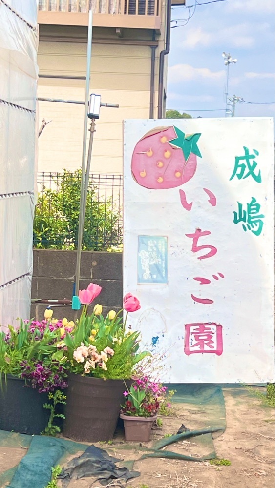 miiさんが投稿した成嶋いちご園に関する口コミの画像