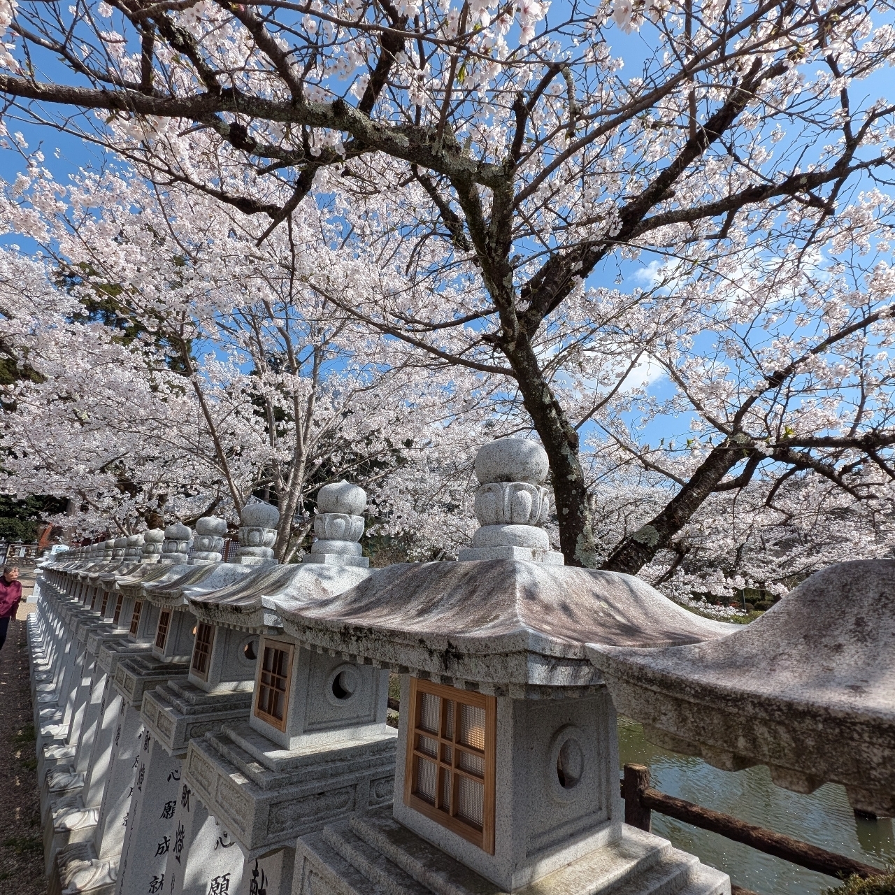 ぬっくさんが投稿した安倍文殊院（アベノモンジュイン）に関する口コミの画像