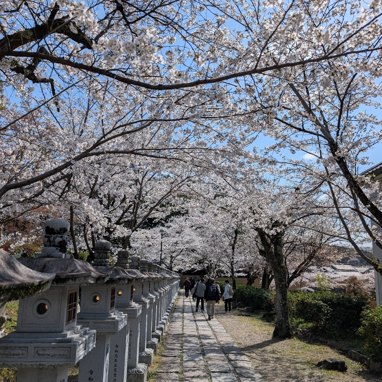 ぬっくさんが投稿した安倍文殊院（アベノモンジュイン）に関する口コミの画像