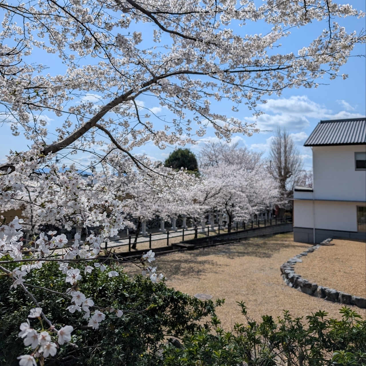 ぬっくさんが投稿した安倍文殊院（アベノモンジュイン）に関する口コミの画像