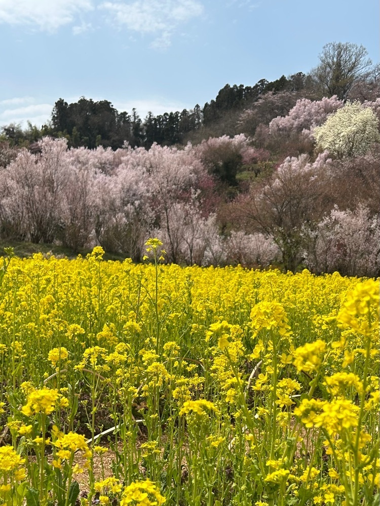 choco mintさんが投稿した福島市小鳥の森に関する口コミの画像