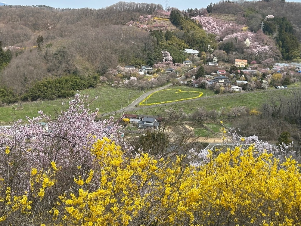 choco mintさんが投稿した福島市小鳥の森に関する口コミの画像