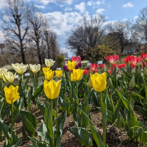 本庄総合公園