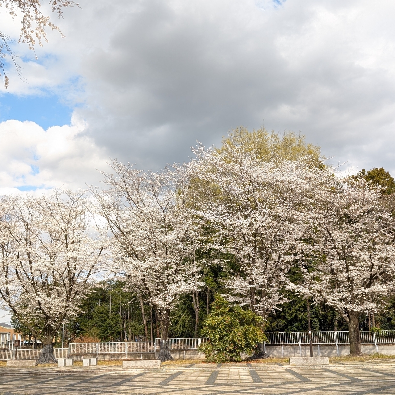 Pさんが投稿した本庄総合公園に関する口コミの画像
