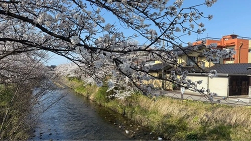 富山城