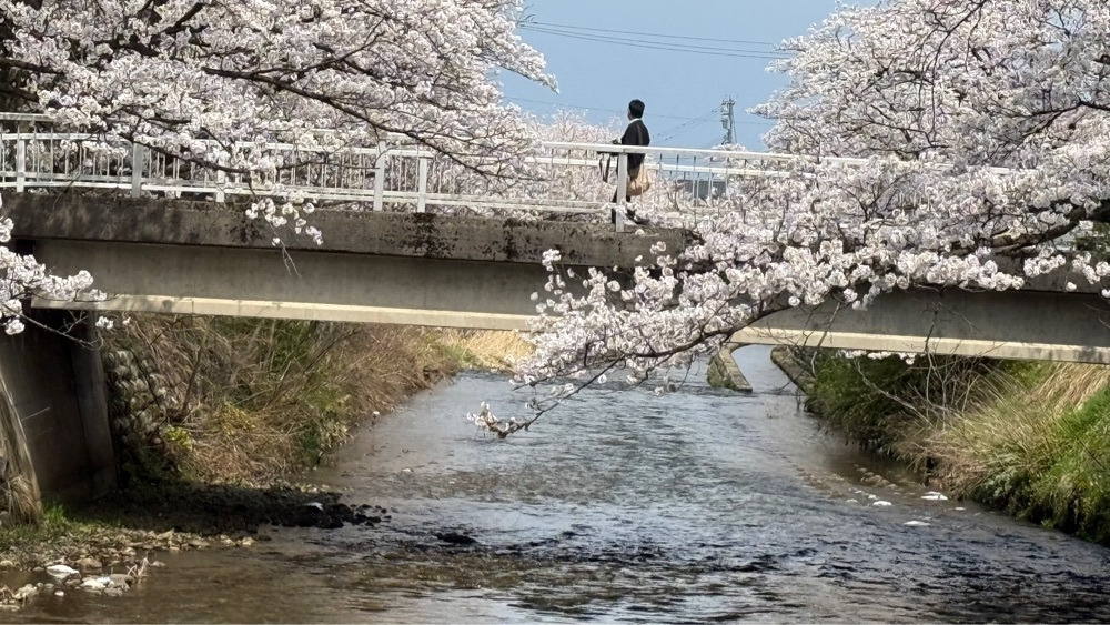 たか富山人さんが投稿した富山城に関する口コミの画像