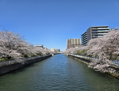 大横川親水公園 1枚目