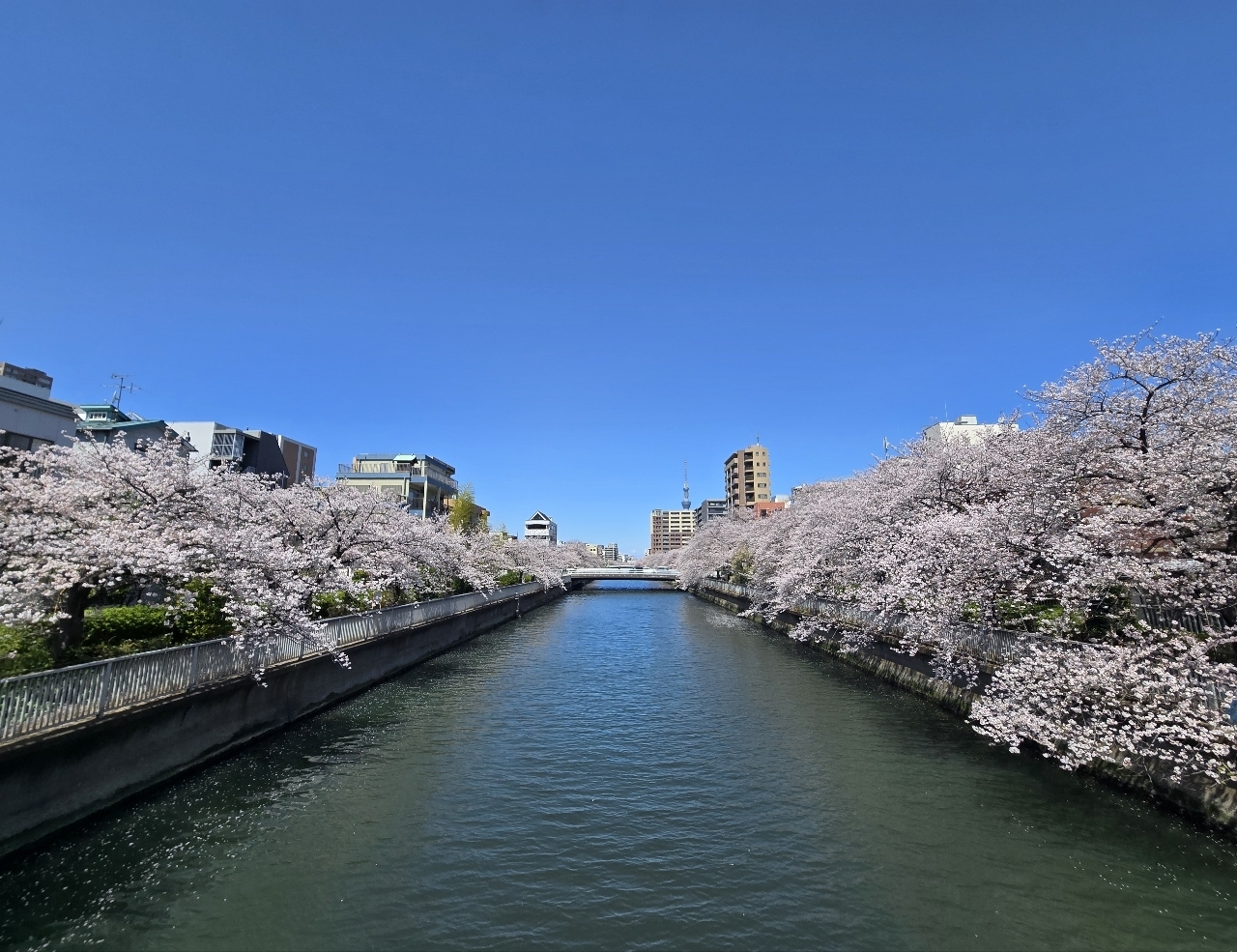 じゅりぽんさんが投稿した大横川親水公園に関する口コミの画像