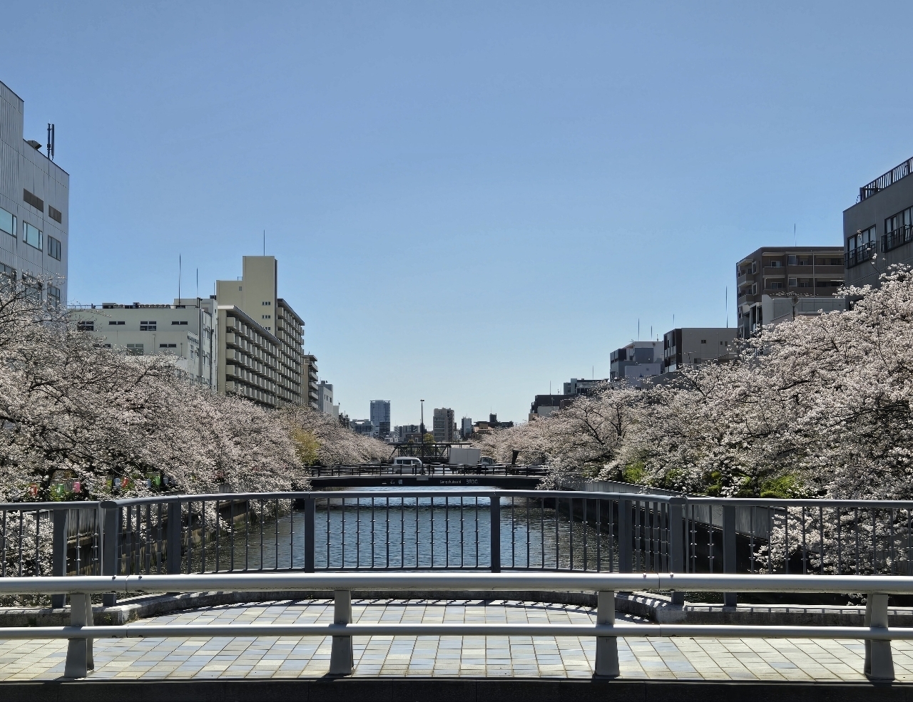 じゅりぽんさんが投稿した大横川親水公園に関する口コミの画像