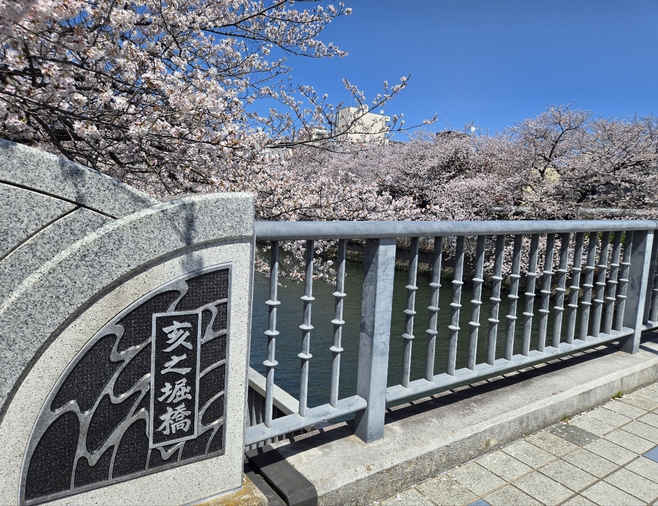 じゅりぽんさんが投稿した大横川親水公園に関する口コミの画像