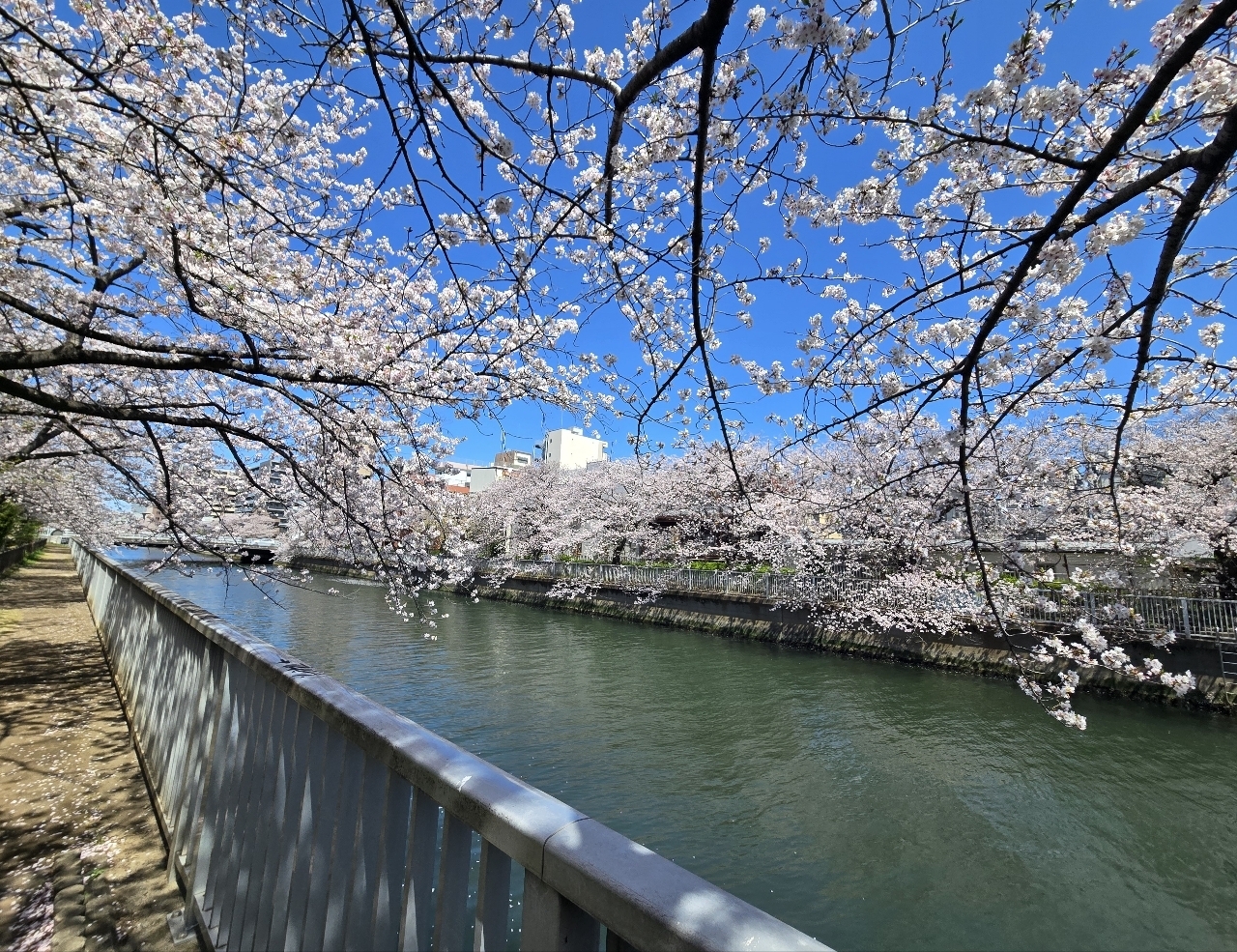 じゅりぽんさんが投稿した大横川親水公園に関する口コミの画像