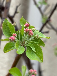 旧田中家鋳物民俗資料館 4枚目